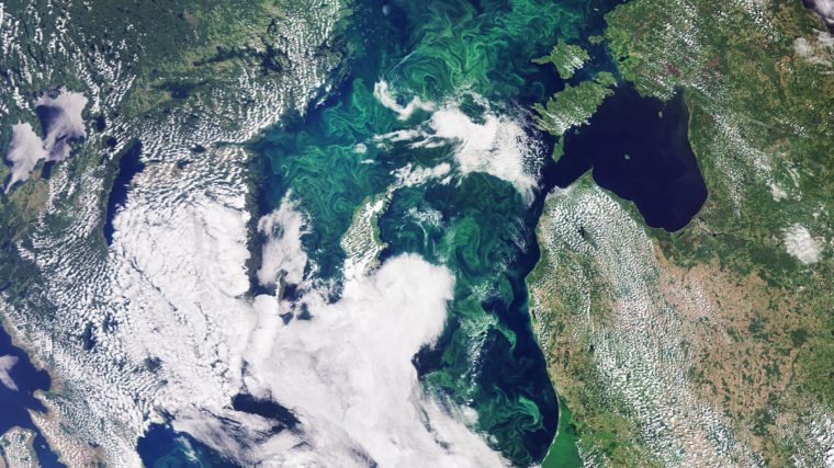 In this image, captured by the Copernicus Sentinel-3 mission, the green algae blooms swirling around the Baltic Sea are visible.