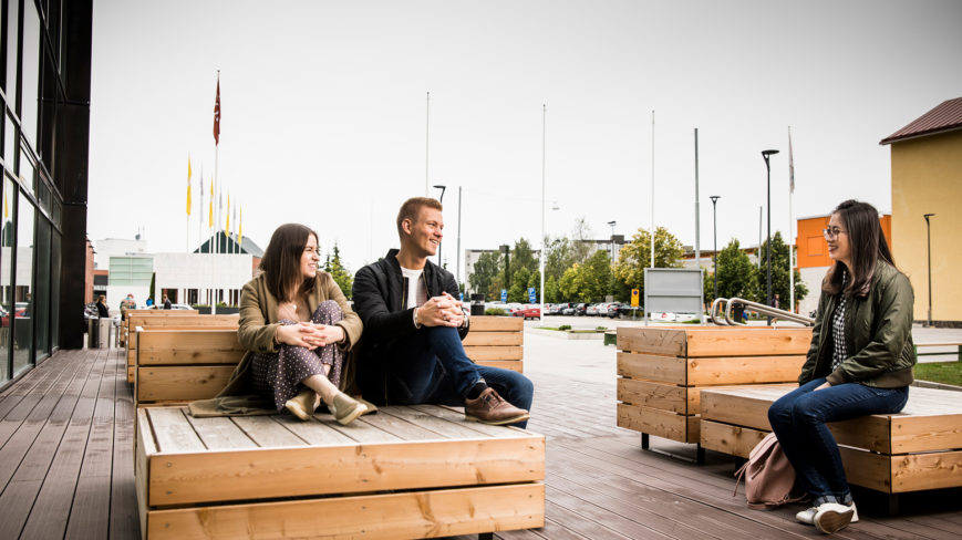 Thesis vamk 08 image