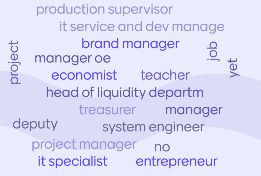 Word cloud of job description of students study project manager at VAMK.