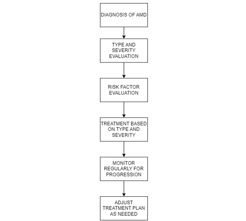A flowchart showing the process for the personalized treatment of AMD.