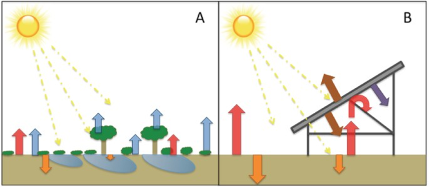 Piirroskuvissa A aurinko paistaa esteettä kasvillisuuspeitteiseen maahan asti. B kuvassa maaperä on paljas ja aurinkopaneelit vähentävät aurinkoenergian siirtymistä maahan.