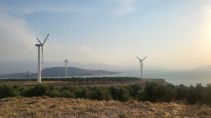 A wind turbines in a field with Albany Wind Farm in the background Description automatically generated