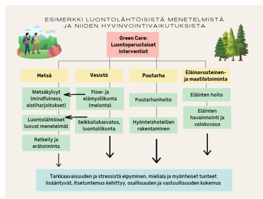 Kaavion yläpuolella teksti ESIMERKKI LUONTOLÄHTÖISISTÄ MENETELMISTÄ JA NIIDEN HYVINVOINTIVAIKUTUKSISTA.
Kaavion ensimmäisenä on teksti Green Care: Luontoperustaiset interventiot, jonka alla on neljä osaa, Metsä, Vesistö, Puutarha sekä Eläinavusteinen- ja maatilatoiminta. Metsän alla Metsäkylvyt (mindfulness, aistiharjoitukset), Luontolähtöiset luovat menetelmät ja Retkeily ja erätoiminta. Vesiston alla Flow-ja elämysliikunta (melonta) sekä Seikkailukasvatus, luontoliikunta. Puutarhan alla Puutarhanhoito sekä Hyönteishotellien rakentaminen. Eläinavusteinen- ja maatilatoiminnan alla Eläinten hoito sekä Eläinten havainnointi ja valokuvaus. Kaikki johtavat kuvion alapuolella olevaan tekstiin Tarkkaavaisuuden ja stressistä elpyminen, mieliala ja myönteiset tunteet lisääntyvät, itsetuntemus kehittyy, osallisuuden ja vastuullisuuden kokemus.