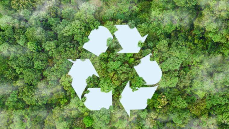 Aerial view of a dense green forest with a large white recycling symbol overlaid in the center, representing environmental sustainability and recycling.
